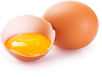 Vorkommen Lecithin - Eigelb